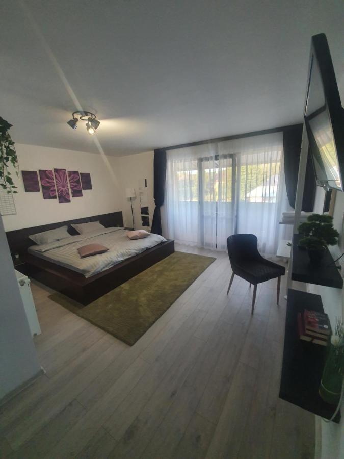 Pensiunea Relax Curtea De Arges Bagian luar foto