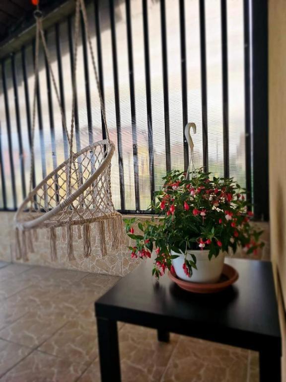 Pensiunea Relax Curtea De Arges Bagian luar foto